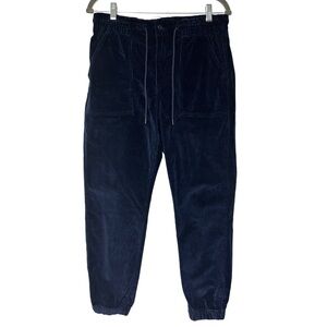 {American Eagle} Short Heavyweight Elastic Waist Corduroy Joggers Track Pants